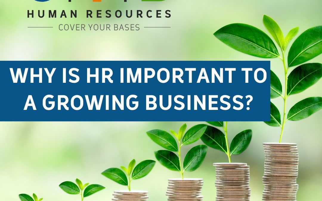 Why is HR Important to a Growing Business? – great question!